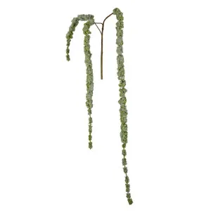 Amaranthus Hanging Spray 1.45m Green by Florabelle Living, a Plants for sale on Style Sourcebook