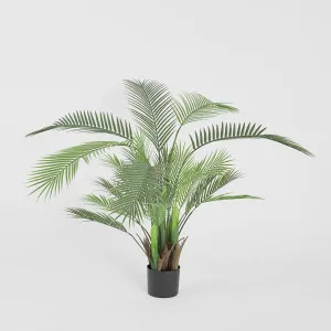 Palm Tree In Black Pot 130cm by TREE CREATIONS, a Plants for sale on Style Sourcebook