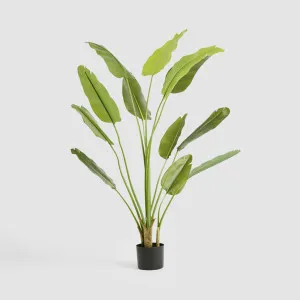 Bird of Paradise Real Touch 210cm by TREE CREATIONS, a Plants for sale on Style Sourcebook
