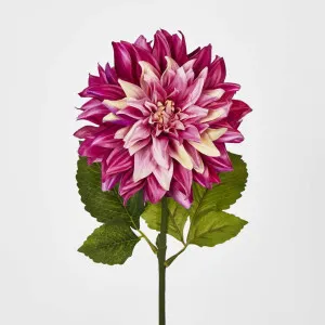 Dahlia Magenta Pink by JMC FLORALS, a Plants for sale on Style Sourcebook