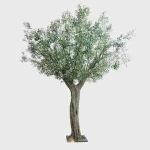 335cm Giant Olive Tree w 24888 Lvs 552 Fruits UV Coated by TREE CREATIONS, a Plants for sale on Style Sourcebook