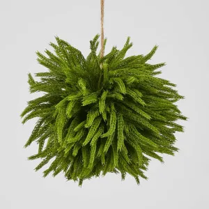 Norfolk Pine Ball Large hanging by Florabelle Living, a Plants for sale on Style Sourcebook