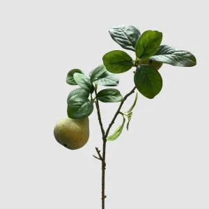 Pears Branch Spray Green 60cm by Florabelle Living, a Plants for sale on Style Sourcebook