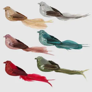 Zinzi Boxed Set of Six Clip on Birds Assorted by Vixen & Velvet, a Christmas for sale on Style Sourcebook