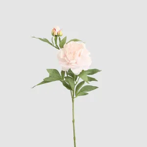 Peony 69cm Floral Stem Blush Pink by JMC FLORALS, a Plants for sale on Style Sourcebook