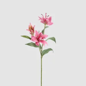 Tiger Lily Spray 71cm Hot Pink by JMC FLORALS, a Plants for sale on Style Sourcebook