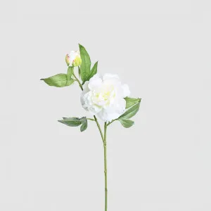 Peony 69cm Floral Stem White by JMC FLORALS, a Plants for sale on Style Sourcebook