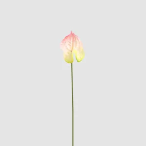 Anthurium Lily Real Touch Pink by Florabelle Living, a Plants for sale on Style Sourcebook