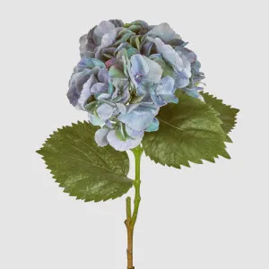 Hydrangea Large Stem With Leaves 75cm Blue by Florabelle Living, a Plants for sale on Style Sourcebook