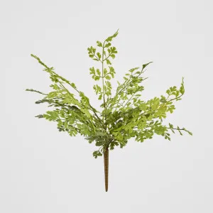 Real Touch Button Fern Bush by Florabelle Living, a Plants for sale on Style Sourcebook