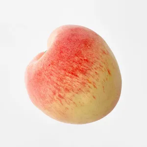 Artificial Peach by JMC FLORALS, a Statues & Ornaments for sale on Style Sourcebook