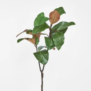 Magnolia Spray by JMC FLORALS, a Plants for sale on Style Sourcebook