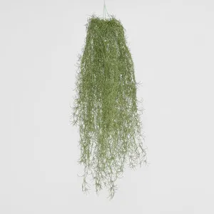 Hanging Spanish Moss Dark Green by JMC FLORALS, a Plants for sale on Style Sourcebook