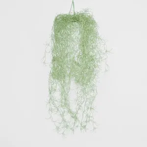 Hanging Spanish Moss Grey Green by JMC FLORALS, a Plants for sale on Style Sourcebook