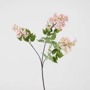 Snow Fruit Stem Pink by JMC FLORALS, a Plants for sale on Style Sourcebook