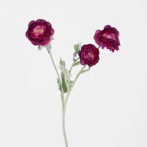 Ranunculus Stem With 3 Heads Magenta by JMC FLORALS, a Plants for sale on Style Sourcebook