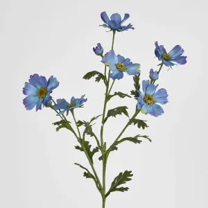 Cosmos Spray 85cm Blue by JMC FLORALS, a Plants for sale on Style Sourcebook