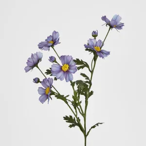 Cosmos Spray 85cm Light Purple by JMC FLORALS, a Plants for sale on Style Sourcebook