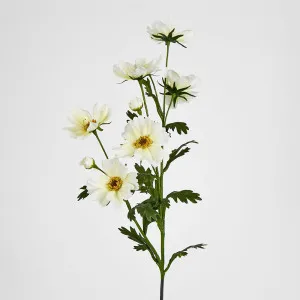 Cosmos Spray 85cm White by JMC FLORALS, a Plants for sale on Style Sourcebook