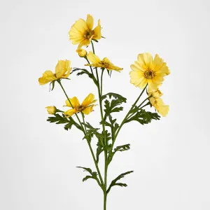 Cosmos Spray 85cm Yellow by JMC FLORALS, a Plants for sale on Style Sourcebook