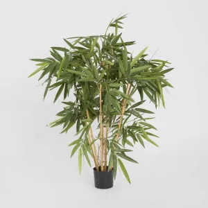 New Bamboo Tree 1m by TREE CREATIONS, a Plants for sale on Style Sourcebook