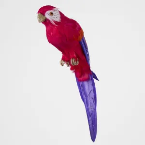 Arnou Fuchsia Parrot by Vixen & Velvet, a Christmas for sale on Style Sourcebook