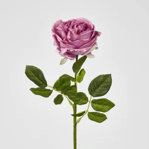Dianna Real Touch Rose Steam Autumn Pink
60cm by Florabelle Living, a Plants for sale on Style Sourcebook