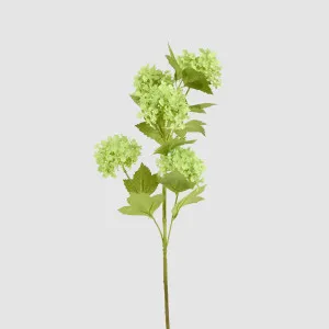 Snowball Spray Green by Florabelle Living, a Plants for sale on Style Sourcebook