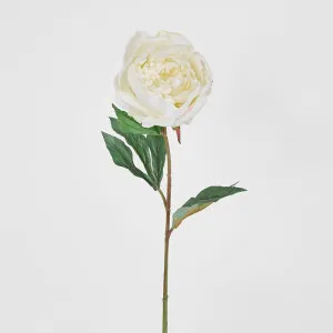 Peony Half Open 70cm White by Florabelle Living, a Plants for sale on Style Sourcebook