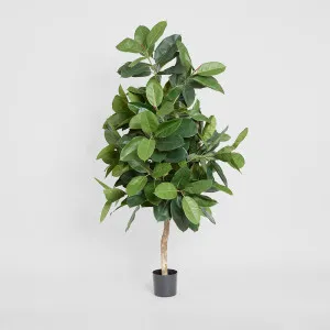 Rubber Plant Tree 1.7m by TREE CREATIONS, a Plants for sale on Style Sourcebook