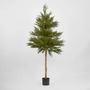 Scandi Spruce Tree 180cm by TREE CREATIONS, a Christmas for sale on Style Sourcebook