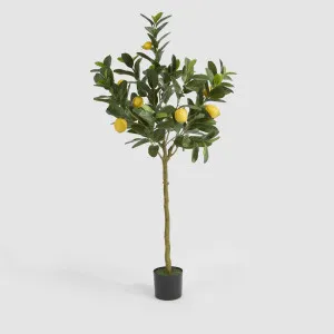 Lemon Tree UV Coated 150cm by TREE CREATIONS, a Plants for sale on Style Sourcebook