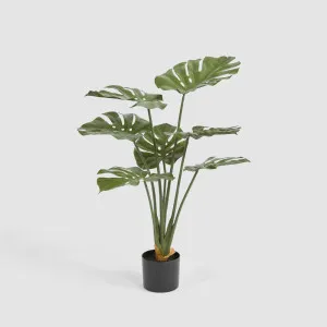 Real Touch Monstera Plant by TREE CREATIONS, a Plants for sale on Style Sourcebook