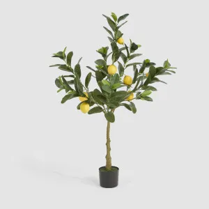 Lemon Tree UV Coated 124cm by TREE CREATIONS, a Plants for sale on Style Sourcebook