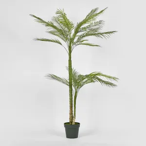 Double Stem Palm Tree 150cm by TREE CREATIONS, a Plants for sale on Style Sourcebook