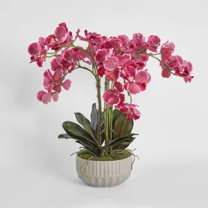 Vivienne Arrangement Taupe by Florabelle Living, a Plants for sale on Style Sourcebook