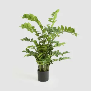 Real Touch Zanzibar 75cm by TREE CREATIONS, a Plants for sale on Style Sourcebook