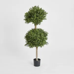 Boxwood Double Ball Tree 1.1m by TREE CREATIONS, a Plants for sale on Style Sourcebook