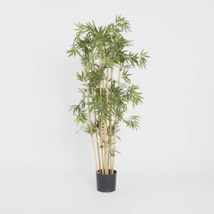 Japanese Bamboo Tree 1.2m by TREE CREATIONS, a Plants for sale on Style Sourcebook