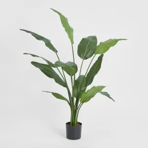 Travellers Palm 1.2m by TREE CREATIONS, a Plants for sale on Style Sourcebook