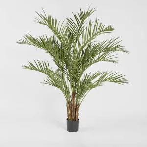 Palm Tree 2m by TREE CREATIONS, a Plants for sale on Style Sourcebook