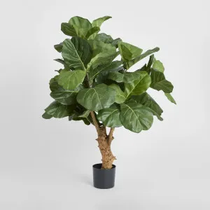 Fiddle Leaf Tree w/70 Leaves 1.2m by TREE CREATIONS, a Christmas for sale on Style Sourcebook