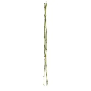 Bamboo Twig Bundle 1m by Florabelle Living, a Plants for sale on Style Sourcebook