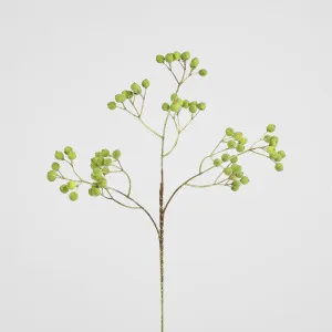 Berry Spray Green by Florabelle Living, a Plants for sale on Style Sourcebook