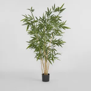 New Bamboo Tree Budget 1.6m by TREE CREATIONS, a Plants for sale on Style Sourcebook