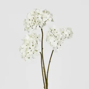 Mini Hydrangea Spray With 3 Heads White by Florabelle Living, a Plants for sale on Style Sourcebook