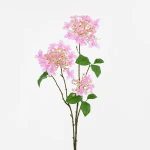 Lace cap Hydrangea Spray 70cm Pink by Florabelle Living, a Plants for sale on Style Sourcebook