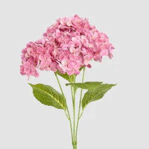 Real Touch Hydrangea 5 Head Bunch Pink by Florabelle Living, a Plants for sale on Style Sourcebook