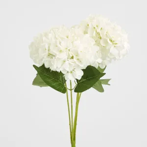 Yasmin Hydrangea Bunch White by Florabelle Living, a Plants for sale on Style Sourcebook