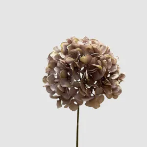 Hydrangea Mauve 72cm by Florabelle Living, a Plants for sale on Style Sourcebook